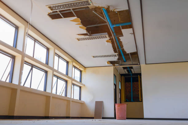 Best Fire Damage Restoration  in Lake Ronkonkoma, NY