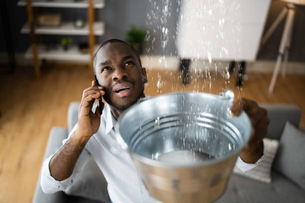 Best Water damage restoration process  in Lake Ronkonkoma, NY
