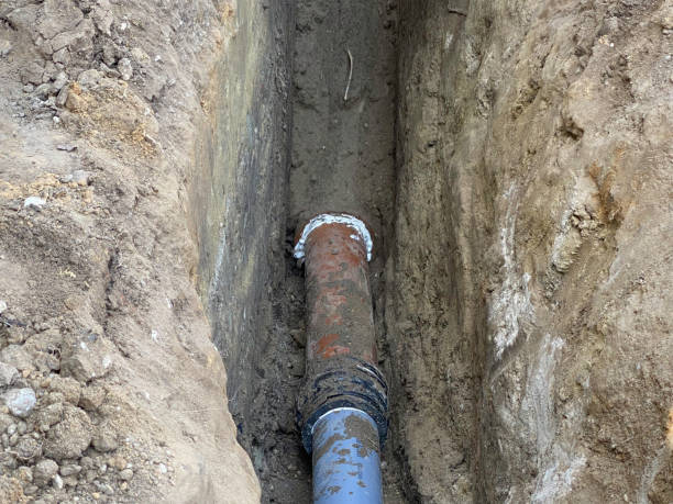 Best Local water damage restoration  in Lake Ronkonkoma, NY
