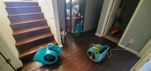 Best Water damage restoration cost  in Lake Ronkonkoma, NY