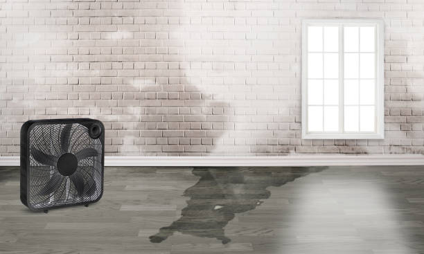 Sewage cleanup and water damage restoration in Lake Ronkonkoma, NY