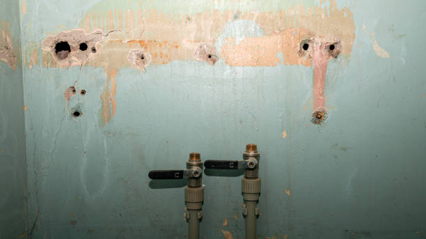 Reliable Lake Ronkonkoma, NY Water damage restoration Solutions